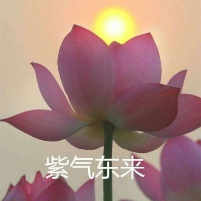 冰火九重天游戏下载
